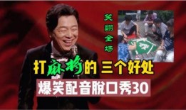 爆料娱乐搞笑视频,笑料百出！揭秘爆笑娱乐搞笑视频幕后花絮