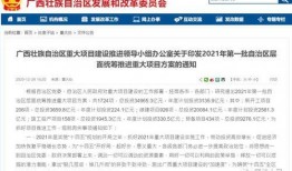 廉江最新爆料,揭秘背后惊人真相